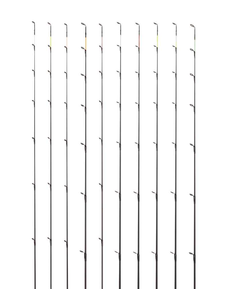 daiwa tips 2024-1