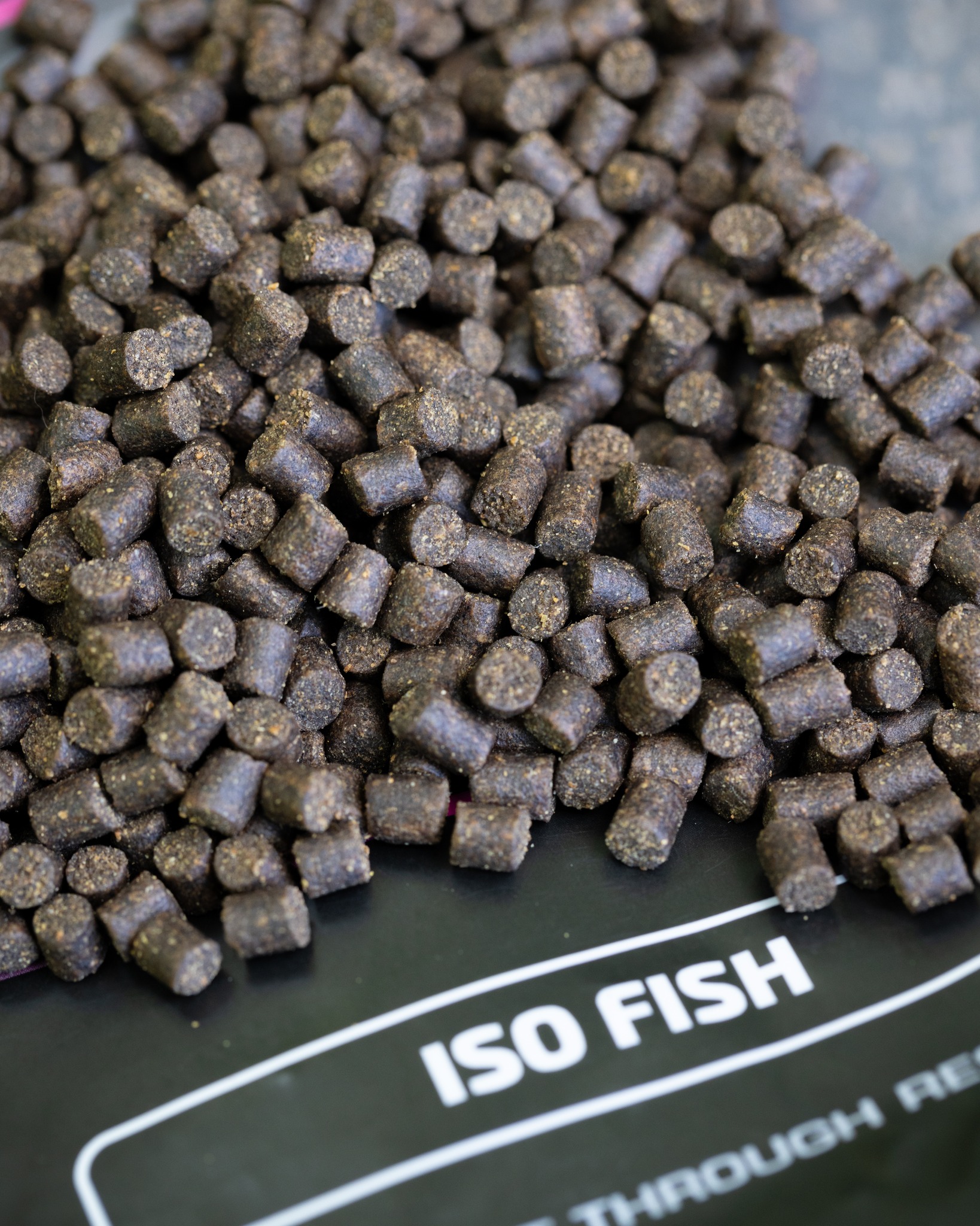 mainline iso fish-5